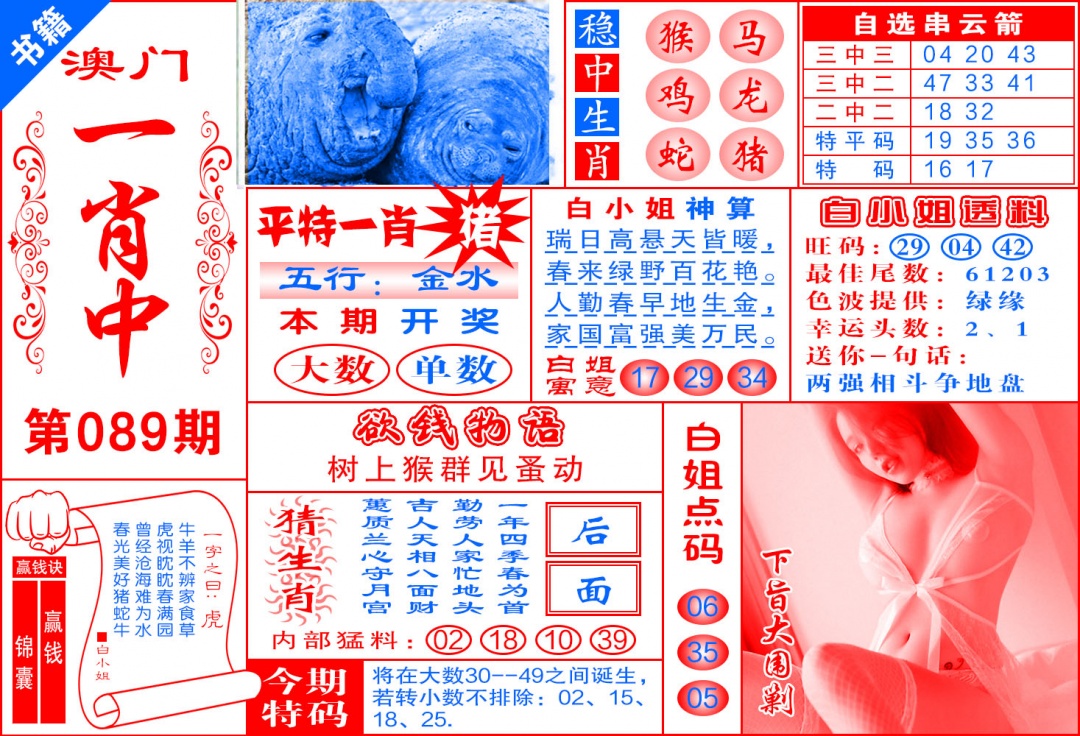 089期澳门锦囊宝典[图]