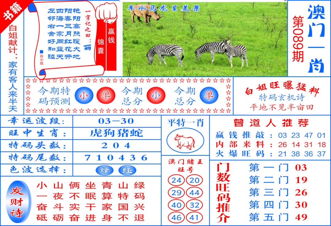 089期澳门东北虎[图]